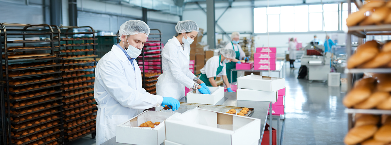 Why Gloves and Hairnets are Vital in Food Manufacturing and Packaging